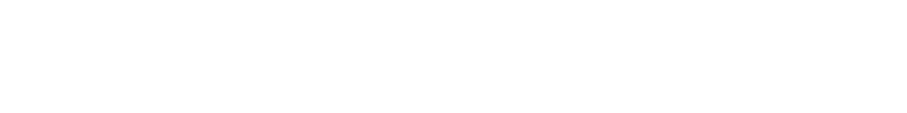 Finite Interactive Logo